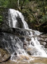 Laurel Falls Trail